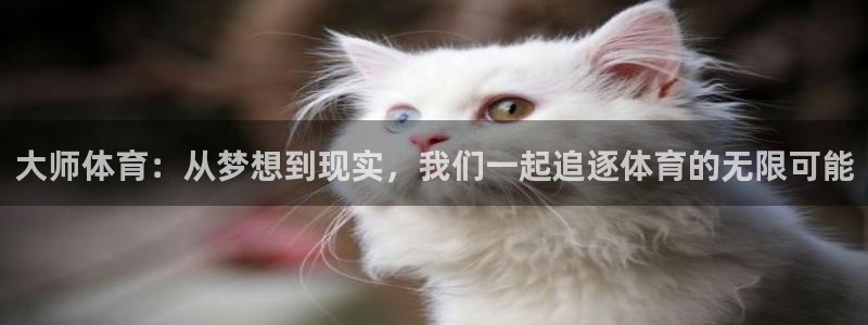 搜球体育app官方版下载：大师体育：从梦想到现实，我们一起追逐体育的无限可能