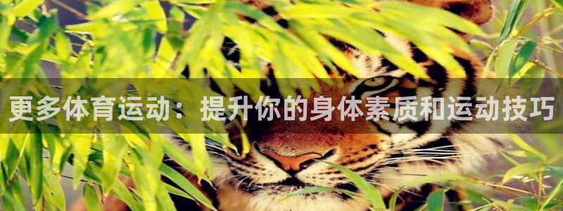 搜球体育辛纳：更多体育运动：提升你的身体素质和运动技巧