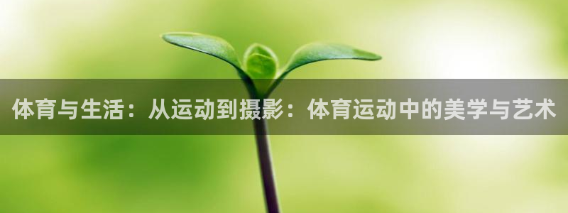 搜球体育官网：体育与生活：从运动到摄影：体育运动中的美学与艺术