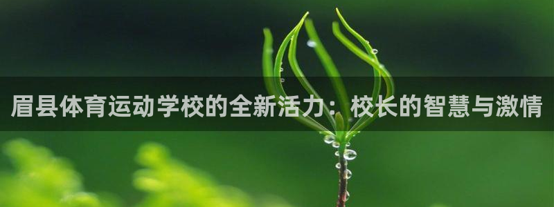 搜球体育直播app：眉县体育运动学校的全新活力：校长的智慧与激情