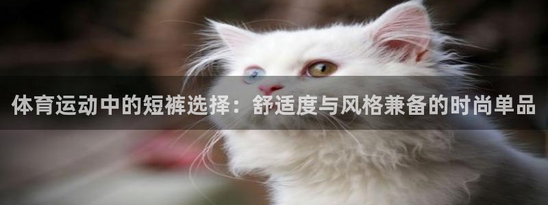 搜球体育辛纳：体育运动中的短裤选择：舒适度与风格兼备的时尚单品