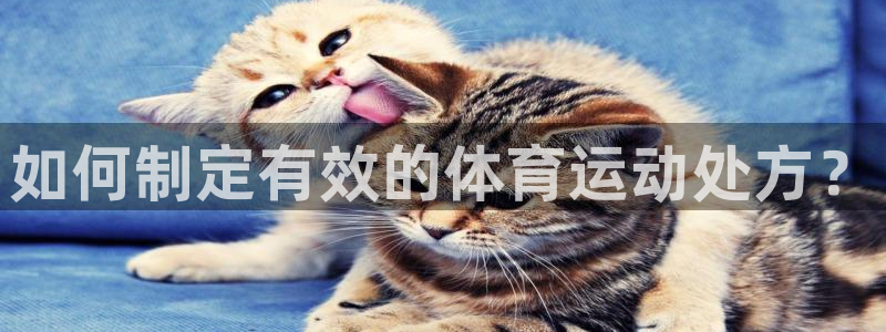 搜球体育下载：如何制定有效的体育运动处方？