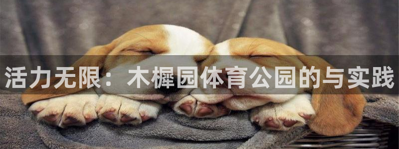 搜球体育在线观看：活力无限：木樨园体育公园的与实践