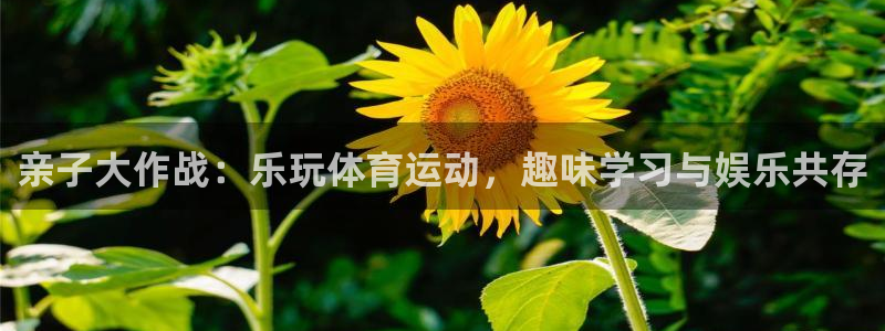 搜球体育足球：亲子大作战：乐玩体育运动，趣味学习与娱乐共存