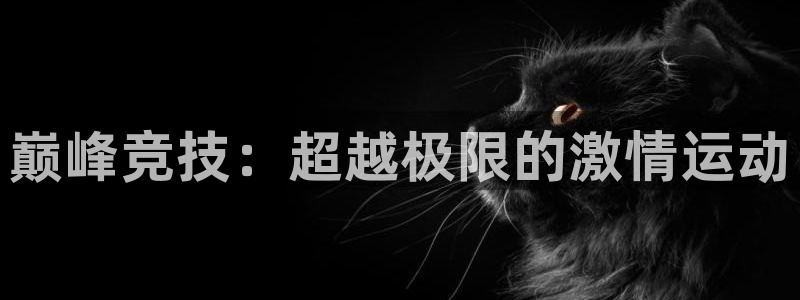 搜球体育现在叫什么：巅峰竞技：超越极限的激情运动