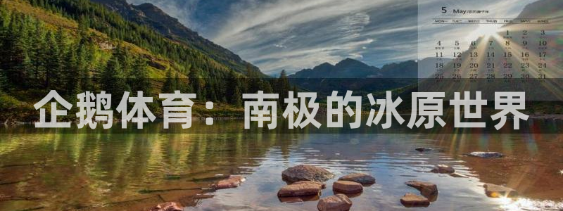 搜球体育NBA：企鹅体育：南极的冰原世界