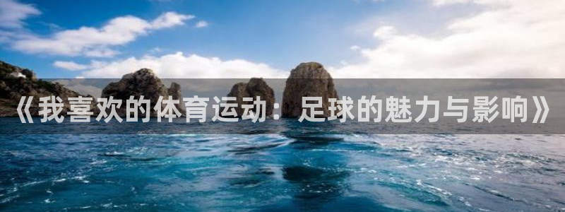 搜球体育NBA：《我喜欢的体育运动：足球的魅力与影响》