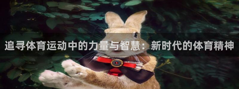 搜球体育官网网址：追寻体育运动中的力量与智慧：新时代的体育精神